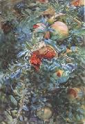 John Singer Sargent Pomegranates (mk18) oil on canvas